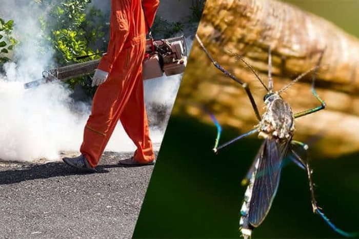 cruising-toward-clean-innovations-in-mosquito-control-influencing-the-automobile-and-transportation-sector